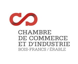 CCIBFE_Nouveau Logo